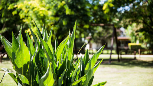 Mobirise